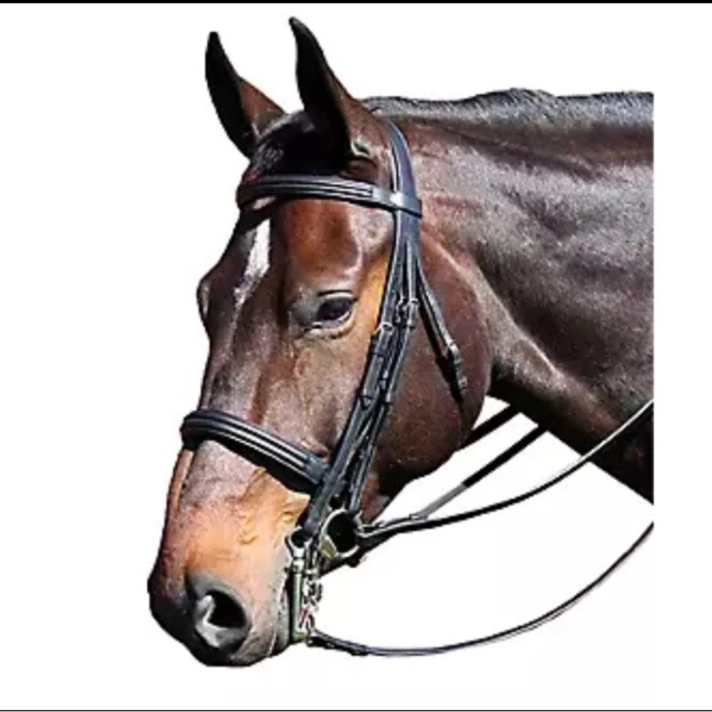 Vespucci Double Raised Black Weymouth Bridle w/ Reins, Cob NEW